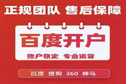 竞价排名在电商行业的实战案例